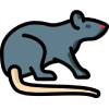rat graphic